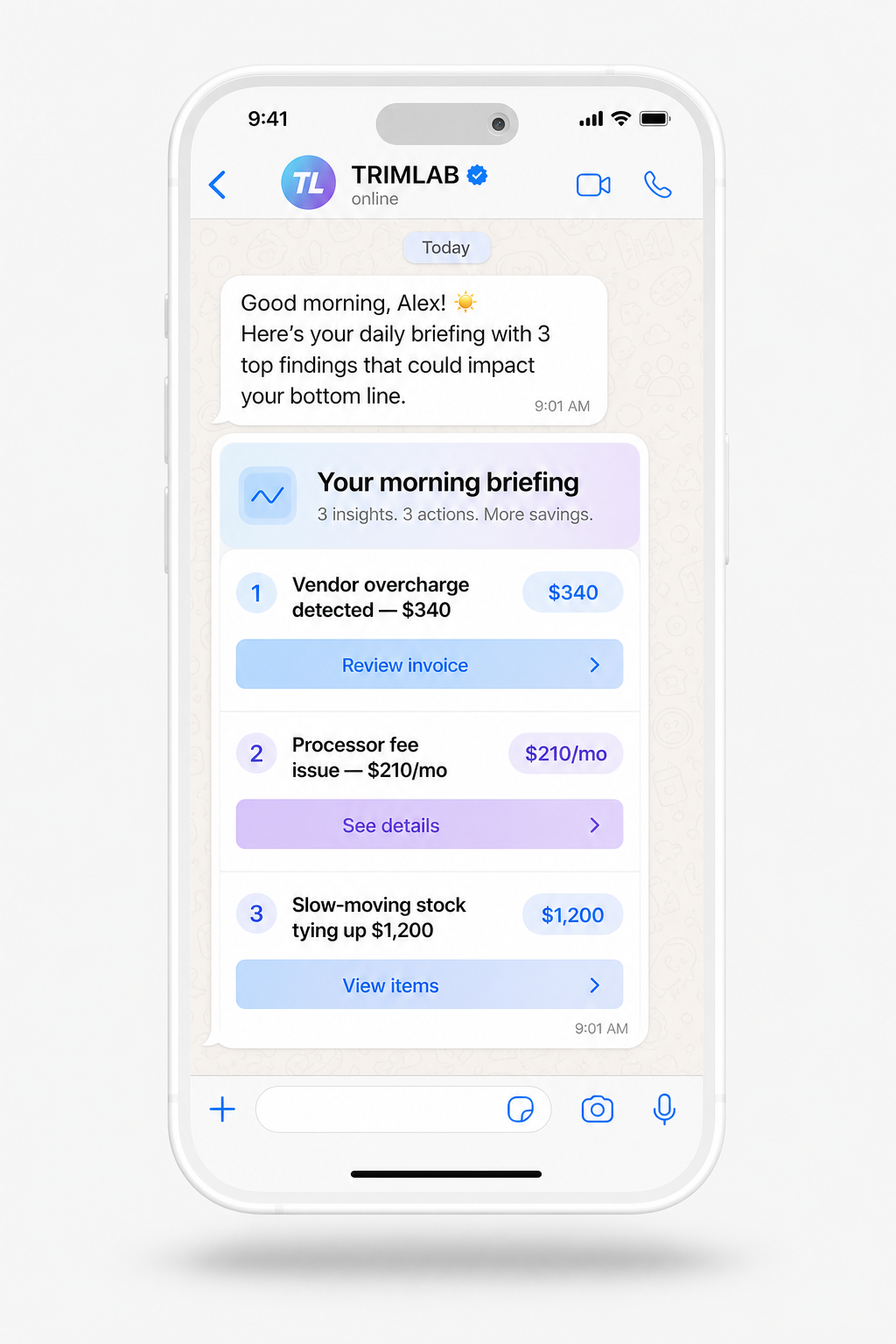 Sample TRIMLAB morning briefing on WhatsApp with three ranked findings